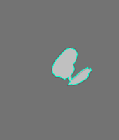 Annotation Visualization