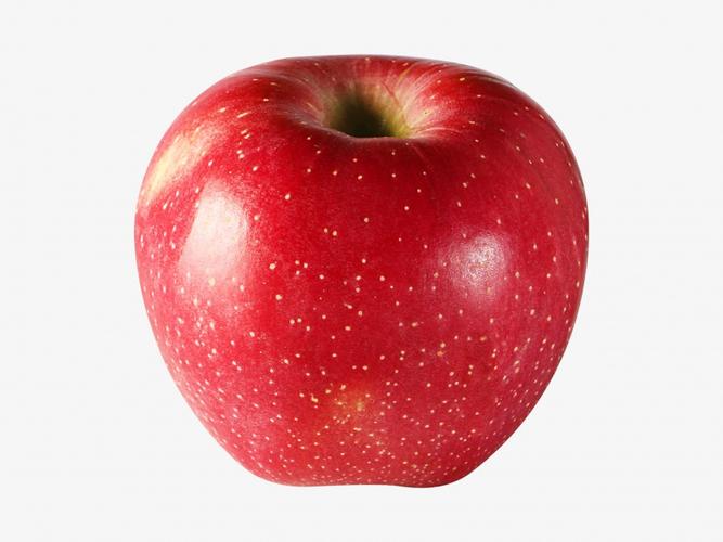 fruit_segmentation Instance Segmentation Dataset and Pre-Trained Model ...