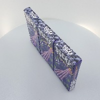 Dataset Image
