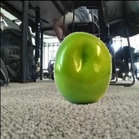 Dataset Image