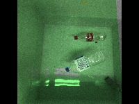 Dataset Image