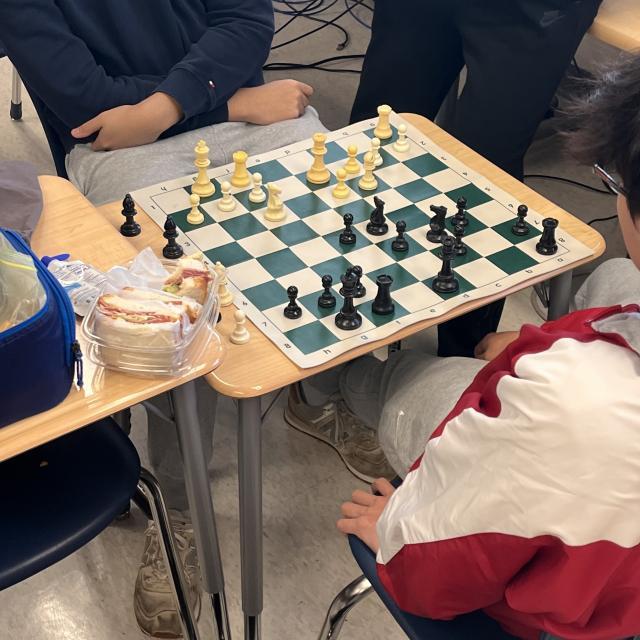 Board Detection Instance Segmentation Dataset By Tj Gabor Chess