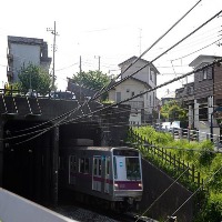 Dataset Image