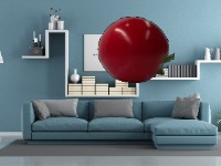 Dataset Image