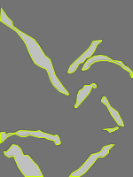 Annotation Visualization