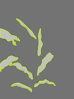 Annotation Visualization