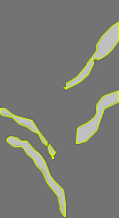 Annotation Visualization