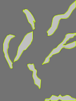 Annotation Visualization