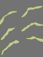 Annotation Visualization