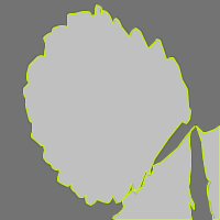 Annotation Visualization