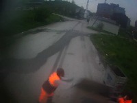 Dataset Image