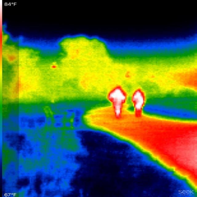 How to Use the thermalhuman Object Detection API