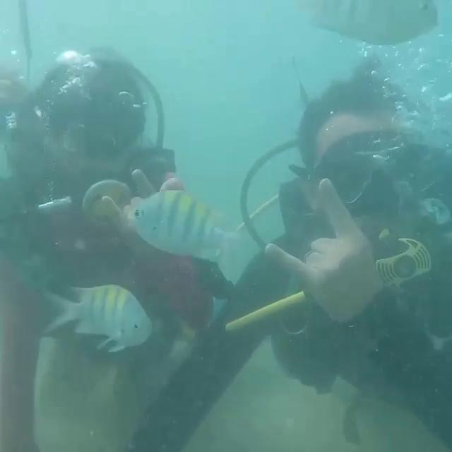 TAPE_UWR_RAW Object Detection Dataset by Lars 2023