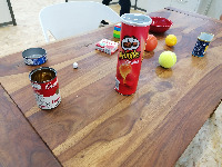 Dataset Image