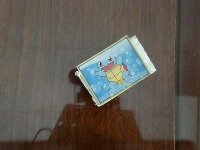 Dataset Image