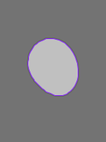 Annotation Visualization