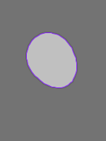 Annotation Visualization
