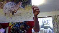 Dataset Image