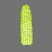 Annotation Visualization