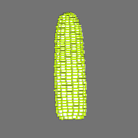 Annotation Visualization