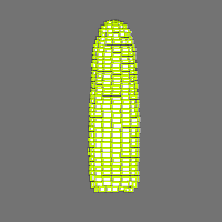 Annotation Visualization