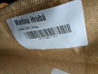 Dataset Image