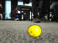Dataset Image