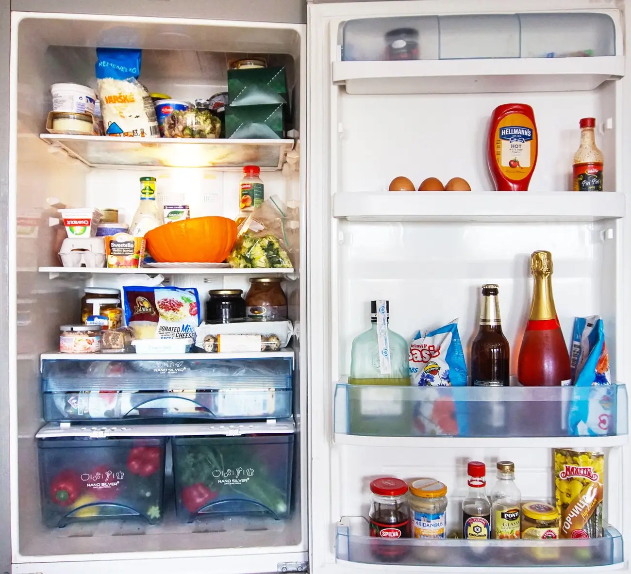 Fridge Object Detection Dataset by Gaurav Misra