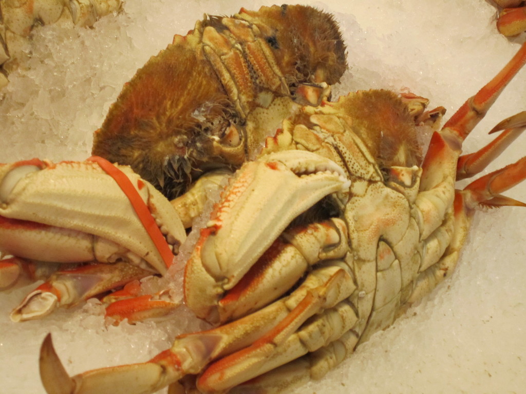 CrabTrain Object Detection Dataset by ML