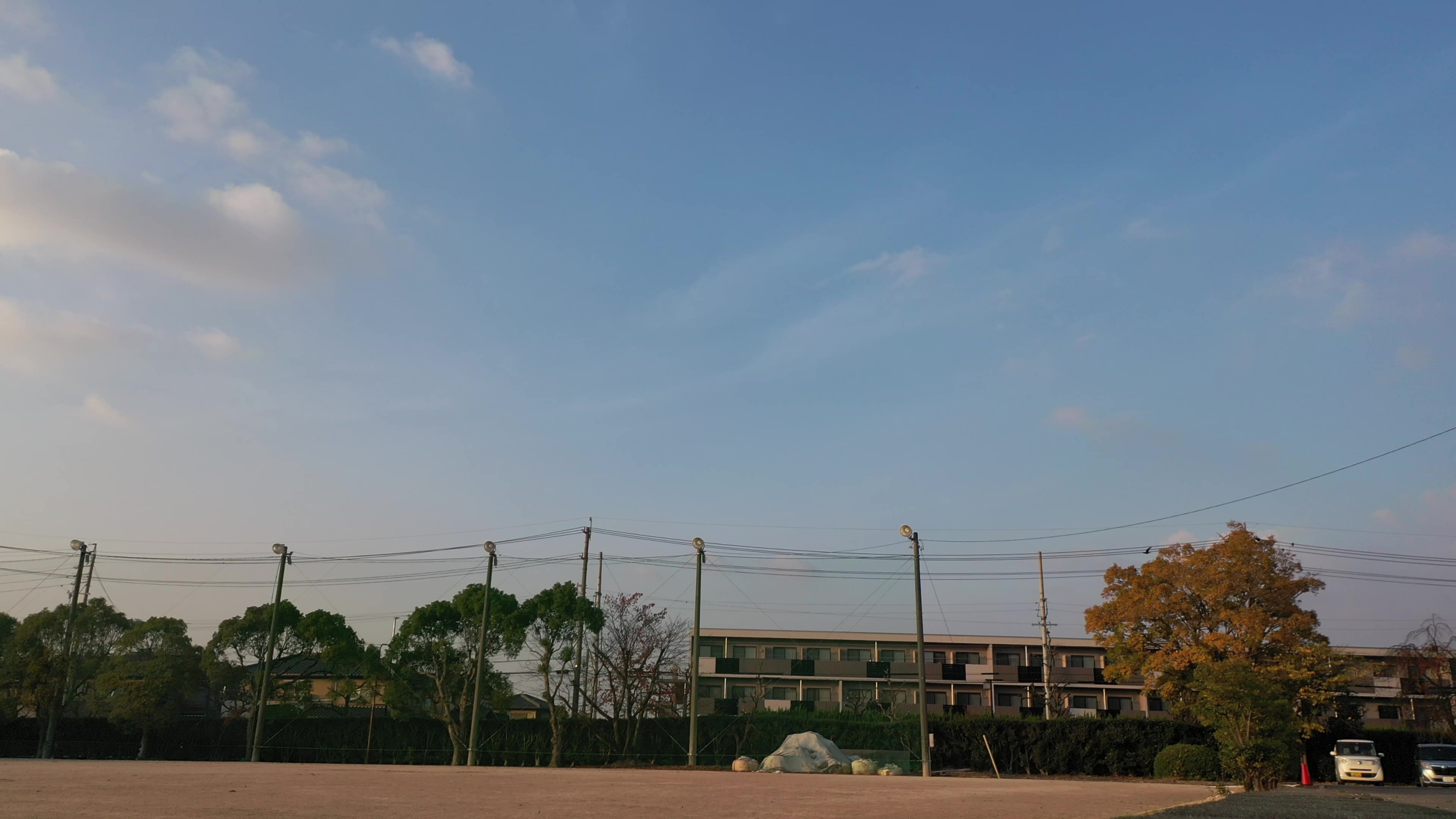 birds-object-detection-dataset-by-yolo