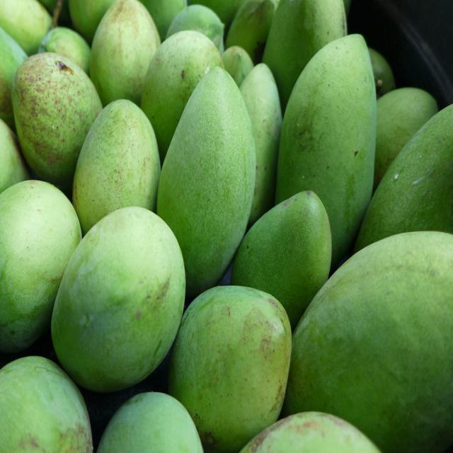 How to Use the Mango Fruit Drop Classification API