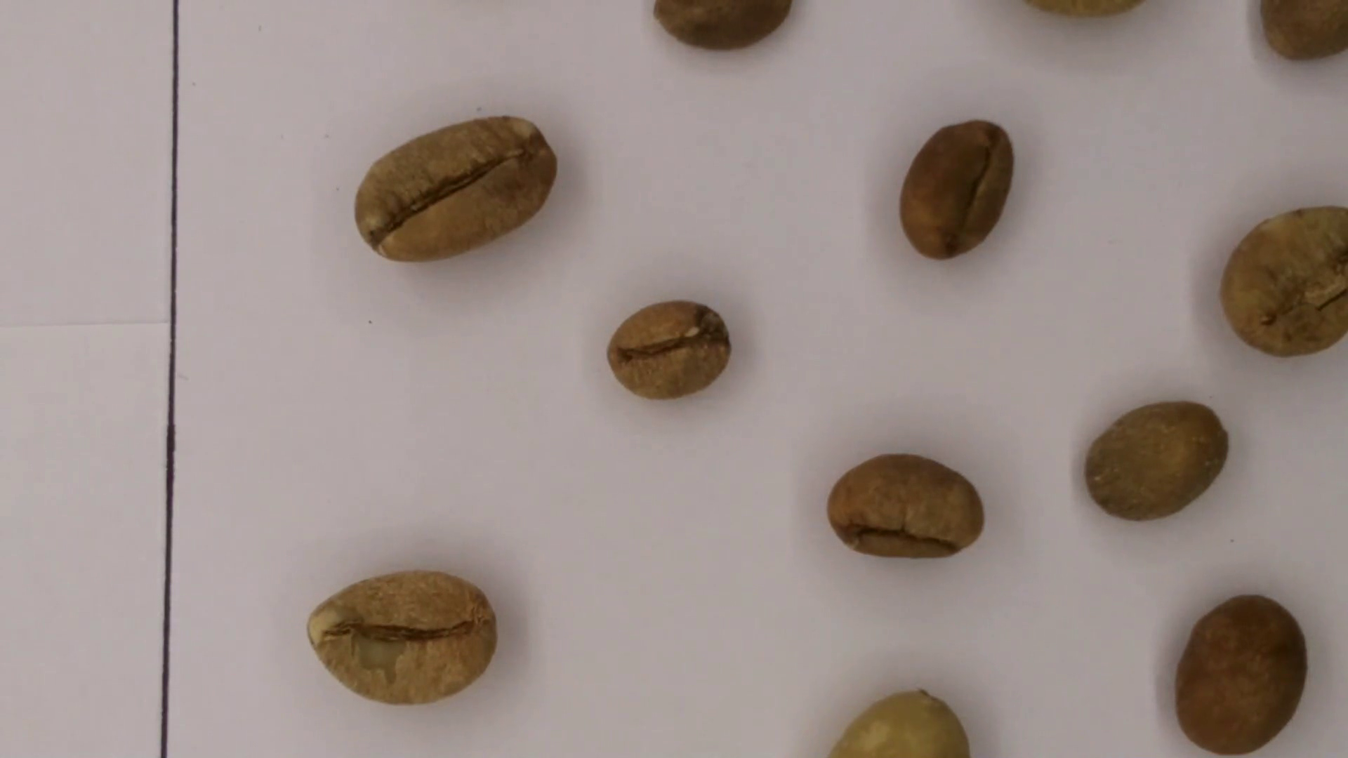 Normal Coffee Beans Object Detection Dataset by