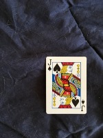 Dataset Image