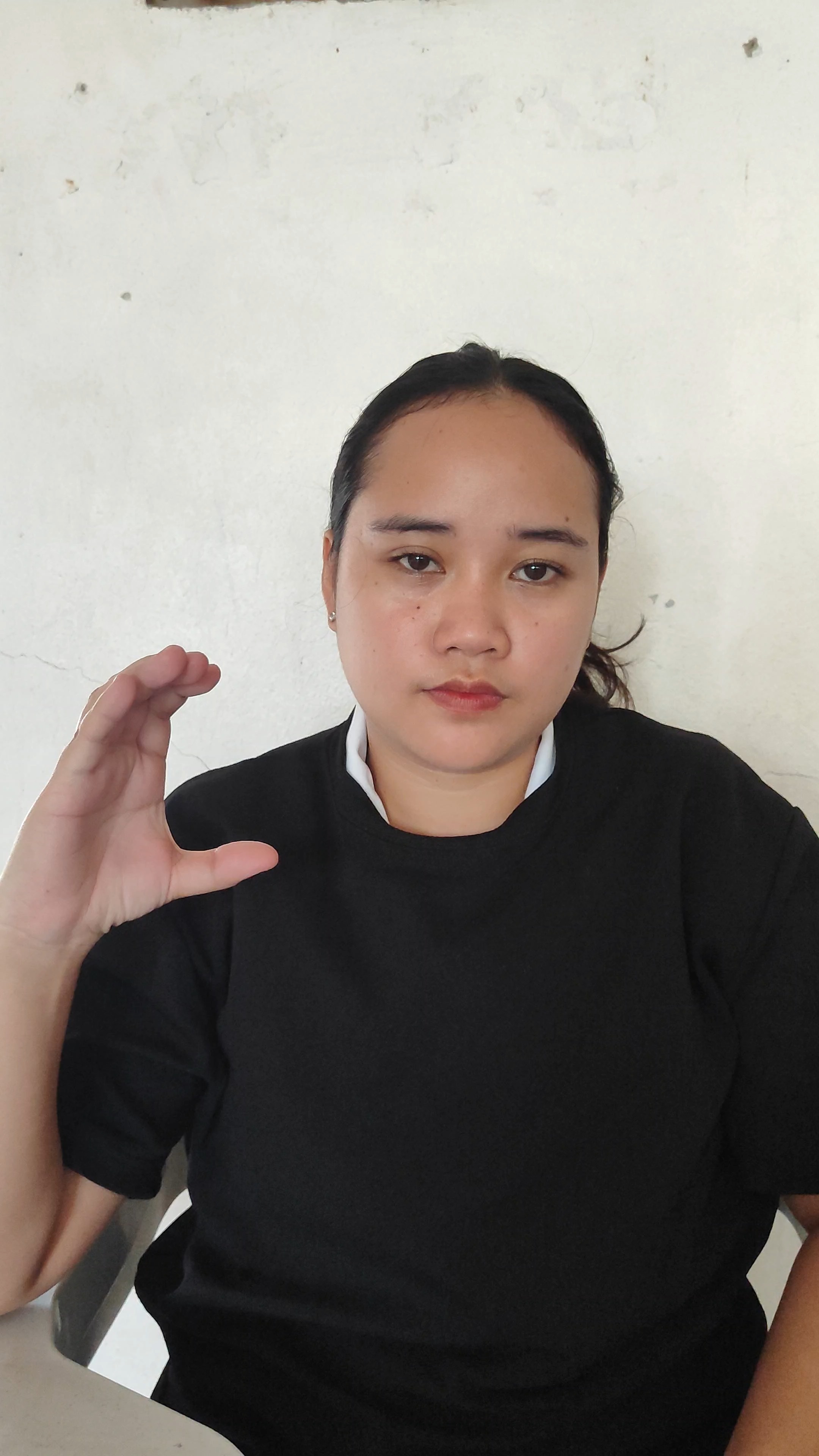 Sign_Language Object Detection Dataset by Bohol Island State University