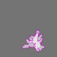 Annotation Visualization