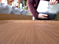 Dataset Image