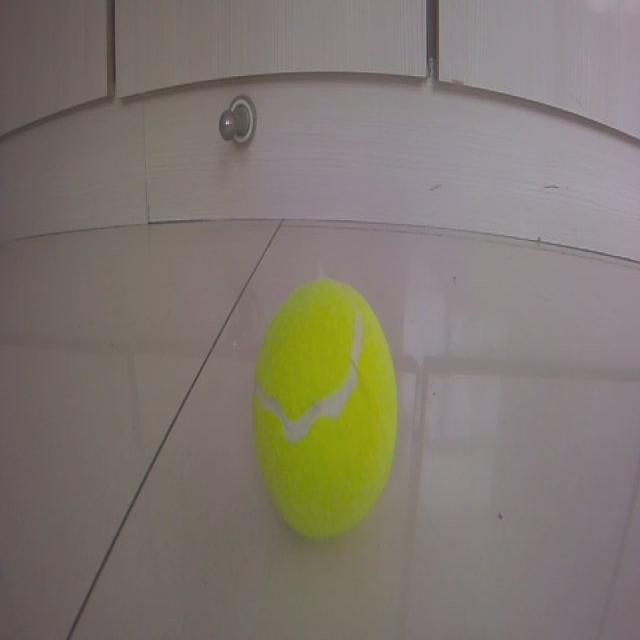 ball_det Object Detection Dataset by lic
