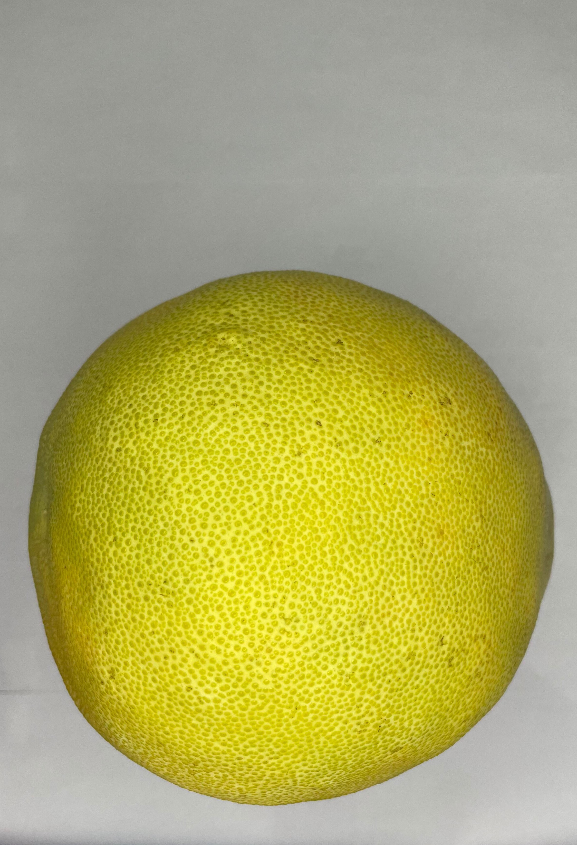 Pomelo Ripeness Detection Using YOLOv7 Network Classification Dataset pomelo-ripeness-detection-using-yolov7-network-classification-dataset