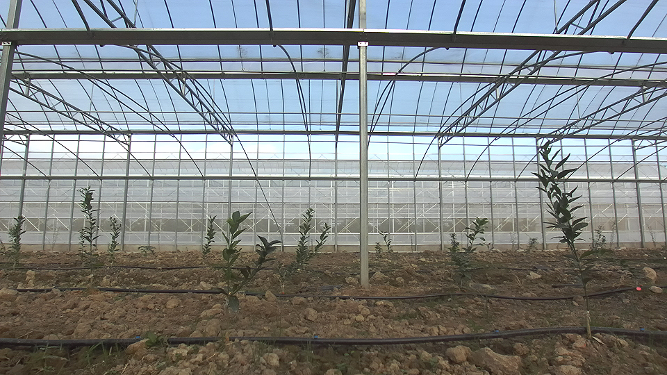 Huazhong Agricultural University Huazhong Agricultural University Huazhong Agricultural University Huazhong Agricultural University