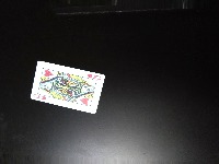 Dataset Image