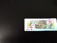 Dataset Image