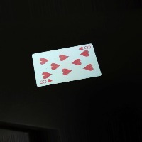 Dataset Image
