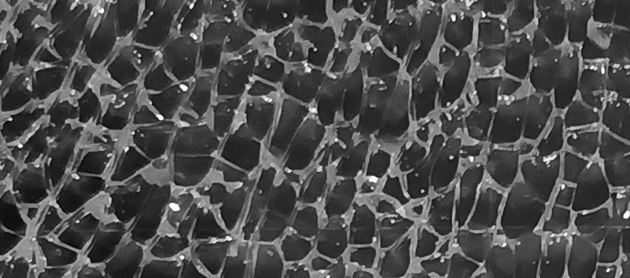 glass fragmentation test Instance Segmentation Dataset by iheb