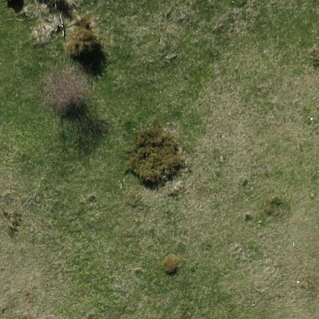 new data yolo 7 Object Detection Dataset by Ahmed Alazzani