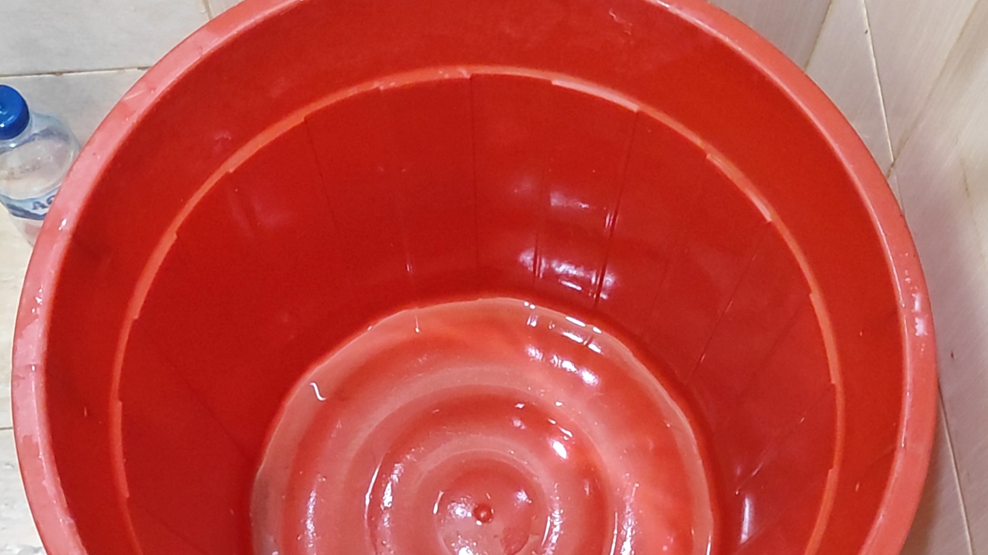 Bucket water detection Instance Segmentation Dataset and PreTrained