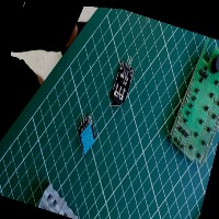 Dataset Image