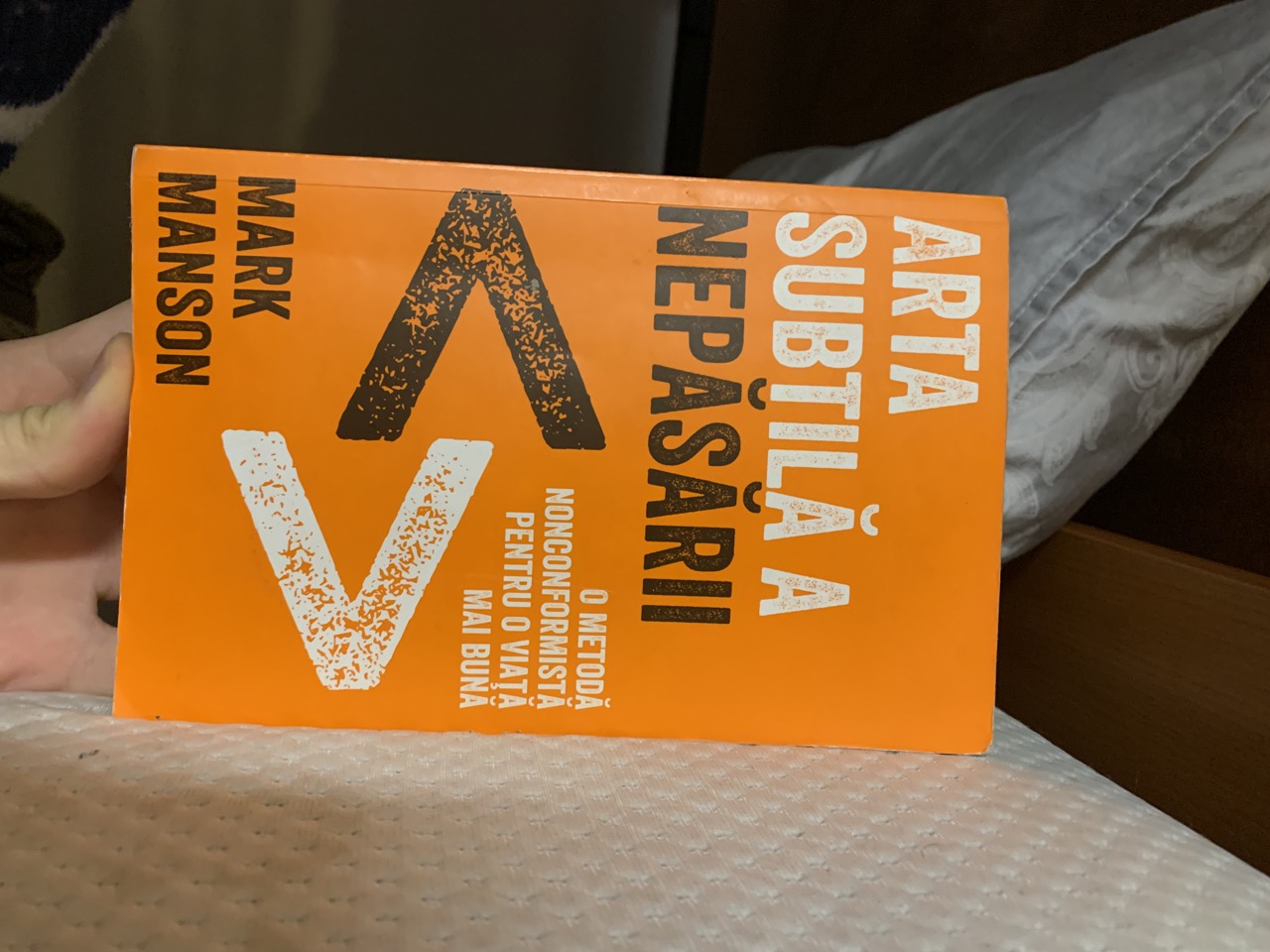 Books Detector Object Detection Dataset and PreTrained Model by Radu