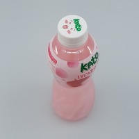 Dataset Image