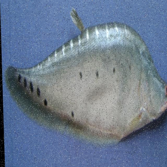 Fish behavior analysis object detection dataset and pre trained model