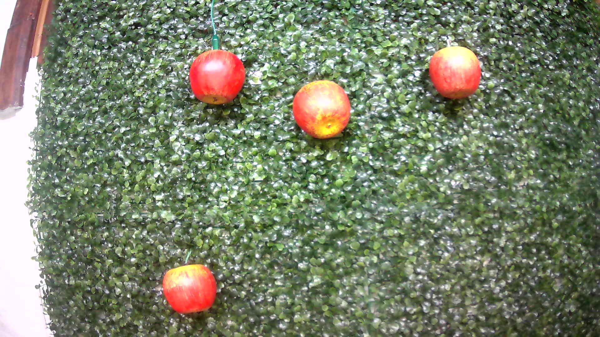 testsetapples Object Detection Dataset by Gabriel Castiglioni